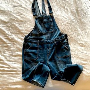 GAP Overalls